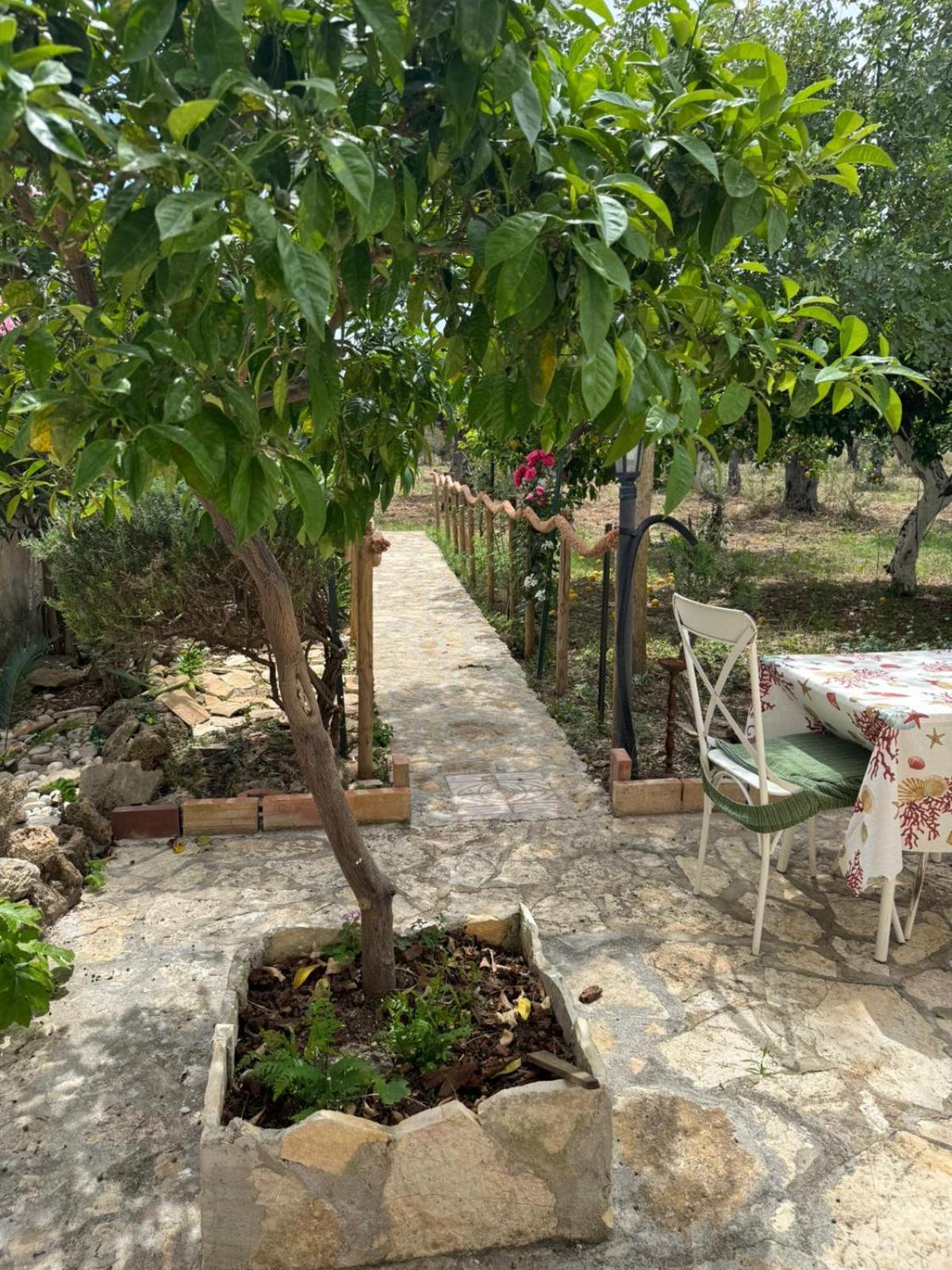 Le Macine 1868 Bed & Breakfast Paceco Bagian luar foto
